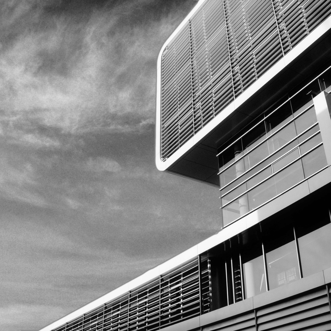 Designing a Pet-Friendly Brutalist Interior: Tips and Toy Recommendations