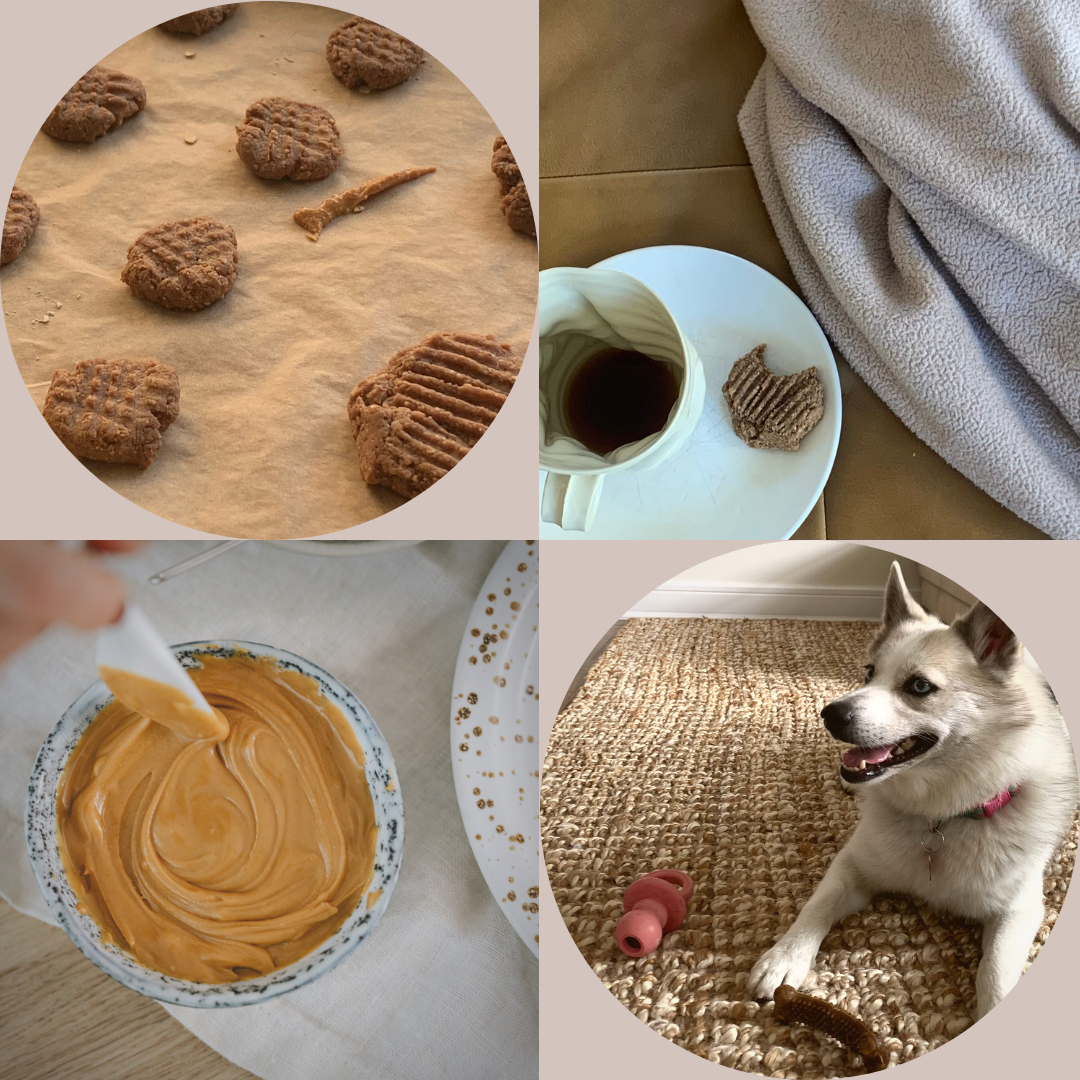 Indulge in Delicious and Nutritious Peanut Butter Cookies – Perfect for You and Your Furry Friend