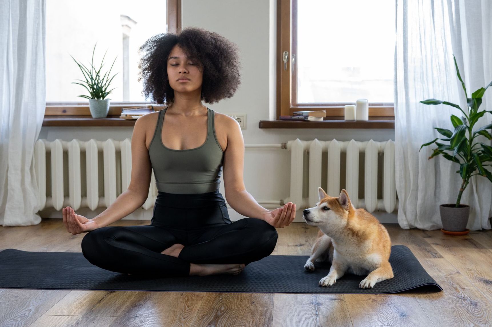 Mindfulness with your furry friend