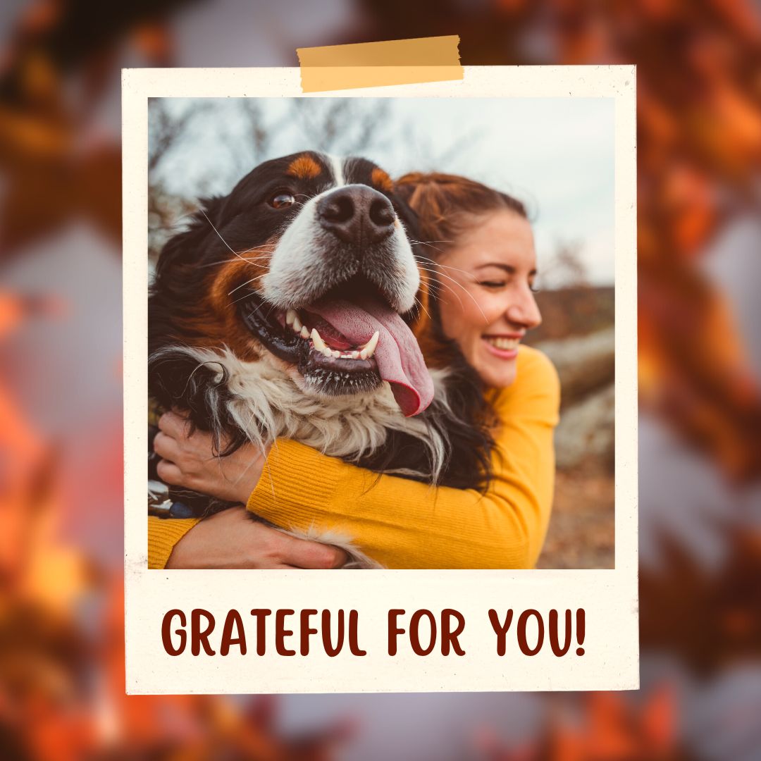 Embracing Gratitude: A Guide to Cherishing Your Canine Companion